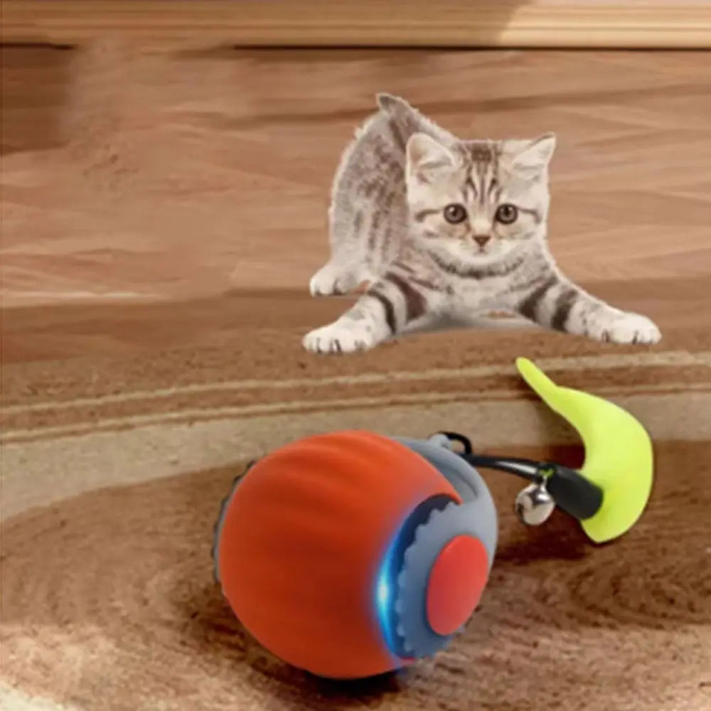 PurrMotion Ball